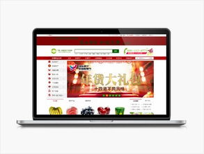 远丰电商集团 专业电子商务服务提供商的成功之路