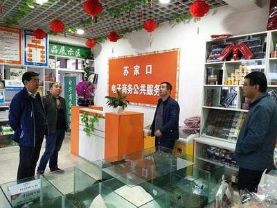 渭源县电子商务公共服务站点工作检查与指导总结